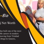 Nicki Minaj Net Worth